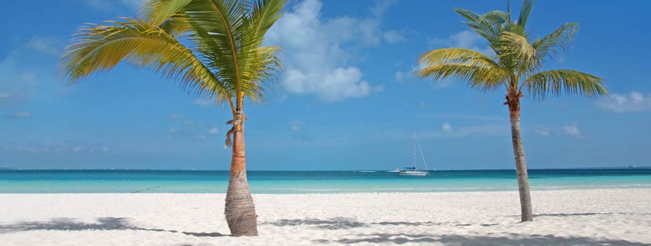 The Scott Treatment Tourism Cayman Islands Beach