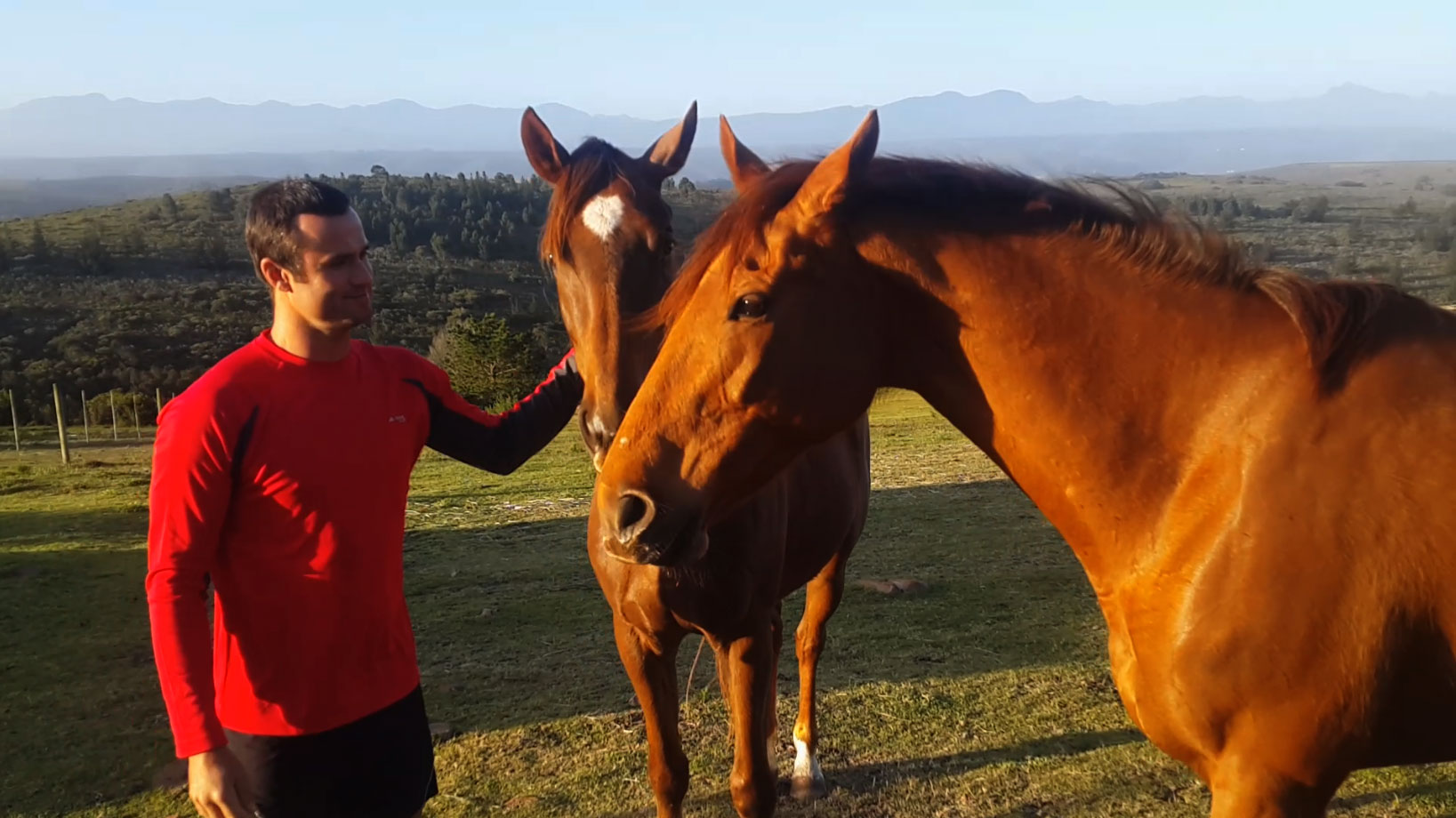 Man with Horses